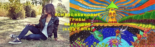 меф Алексин