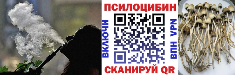 Псилоцибиновые грибы мицелий  где продают наркотики  mega маркетплейс  Приморск 